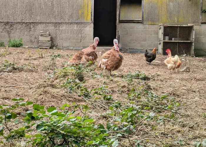 La Janvrie, 5 Personnes La Rouaudière